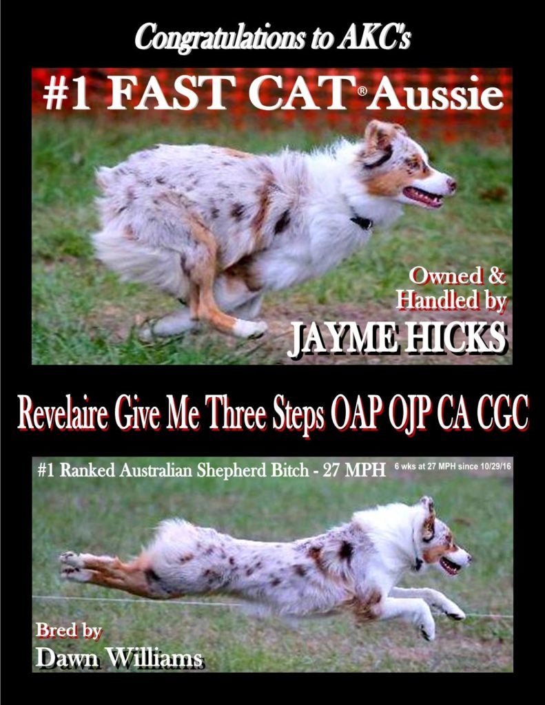 FAST CAT Aussie