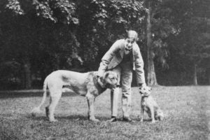 Public Education Educator Resources Dogs in History