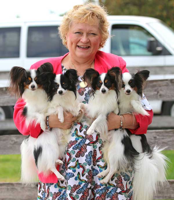 papillon-breeder-of-the-year