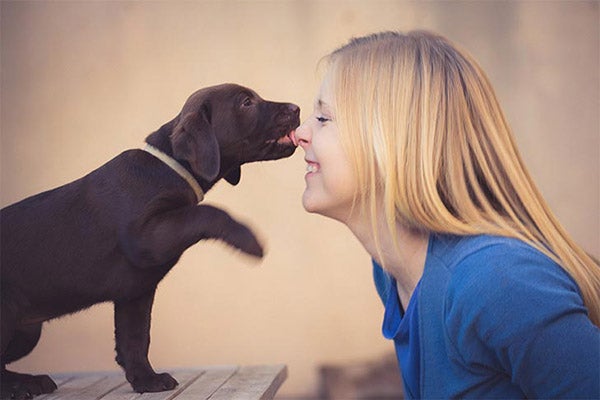 lab-puppy-licking-womans-nose-approved