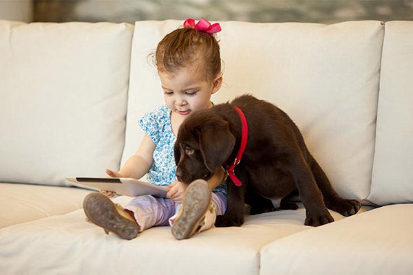 lab-puppy-with-little-girl-on-couch-approved
