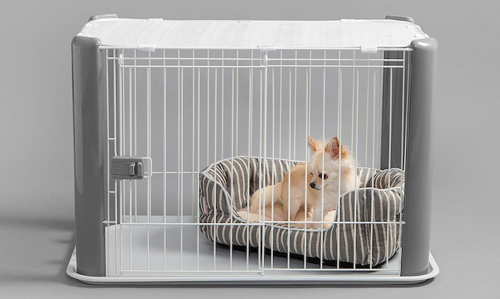 Crate Training Benefits Why A Crate Is Great For You And Your Dog