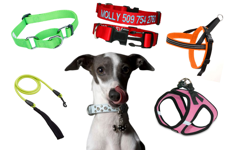 Dog Head Collar, No Pull Training Tool for Dogs on Walks, Includes