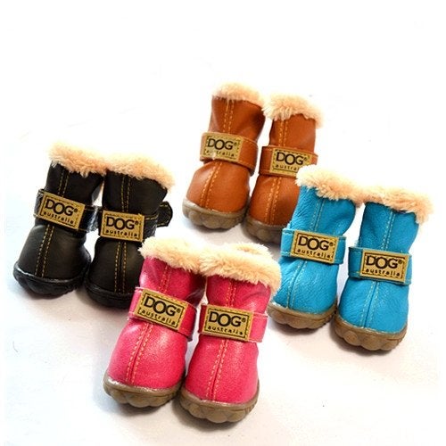 Best Dog Boots for Winter \u0026 Cold 