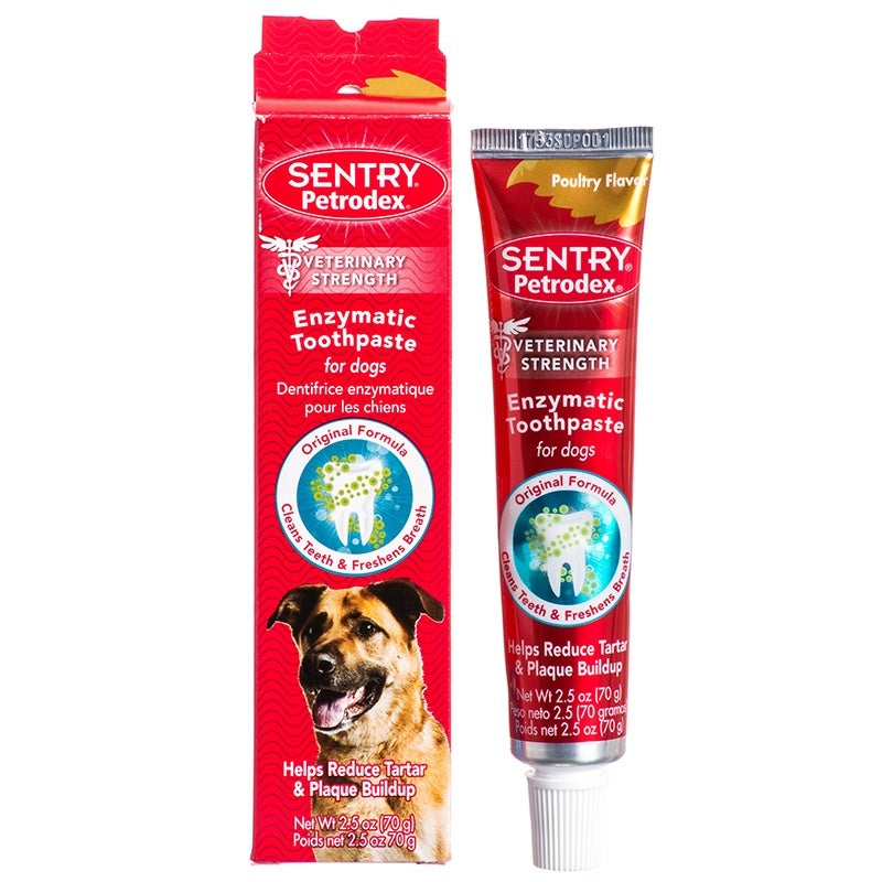 whats best for dogs bad breath