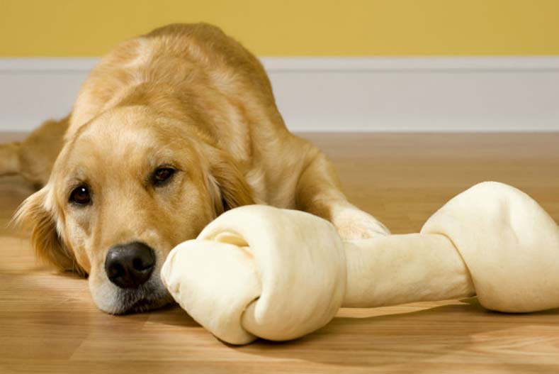 are rawhide chew toys safe for dogs