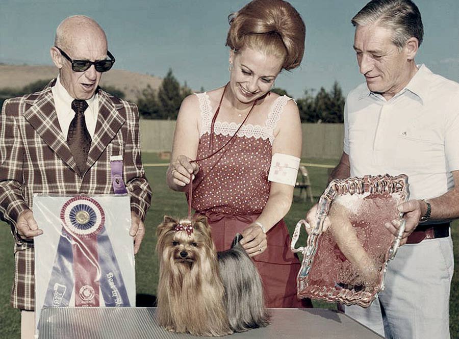 About the American Kennel Club - Bringing Dog Lovers Together Since 1884