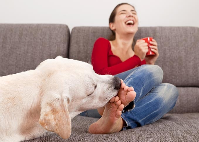 why do puppies bite their feet