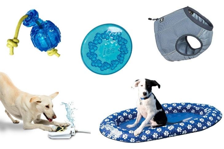 Hot Weather Pet Products  Products to Keep Your Dog Cool This Summer