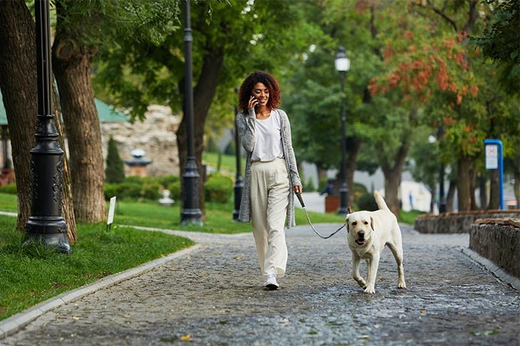 Find the Best Dog Walker: What to Consider & Best Practices