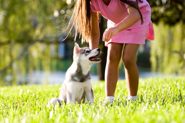 what is a release word in dog training