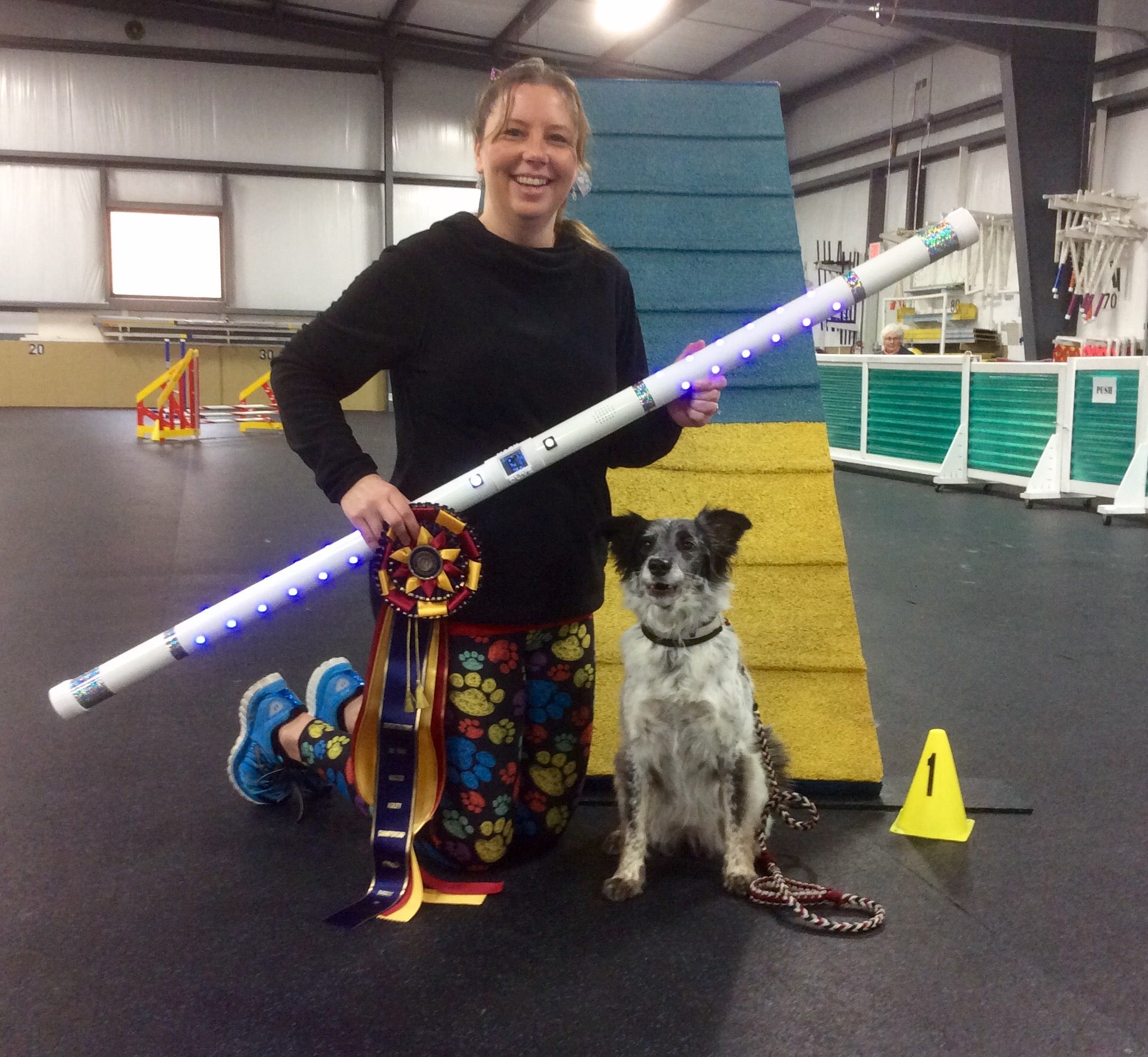 The Road to Orlando Meet the AKC Agility Invitational Contenders