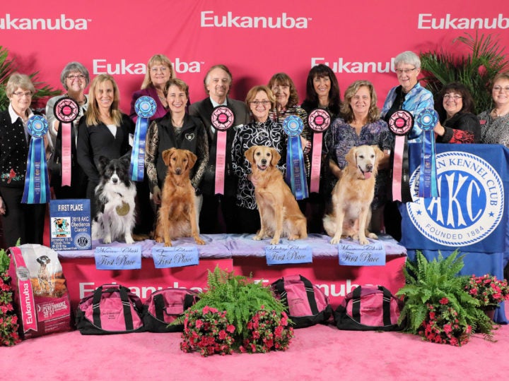 Top Dogs Crowned at 2018 AKC Obedience Classic and AKC Agility Invitational