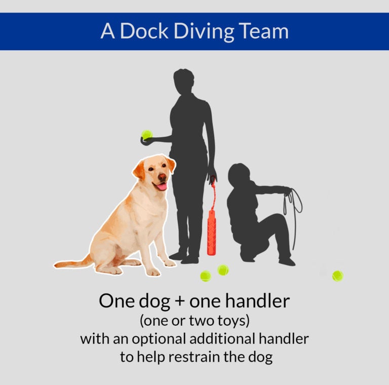 Diving Dogs 101 How to Compete in Dock Diving StepByStep American