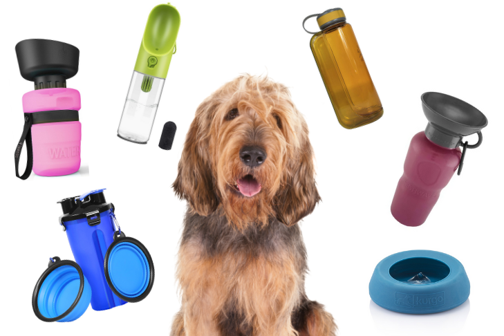https://www.akc.org/wp-content/uploads/2019/08/Best-Dog-Bowls-and-Water-Bottles-For-Travel.png