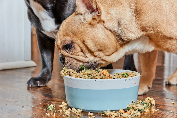 what is the best food to feed a pitbull puppy