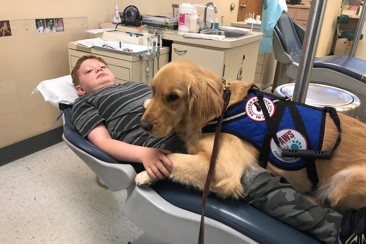 autism therapy dogs