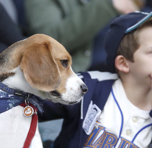 Pittsburgh Pirates announce name of first team dog