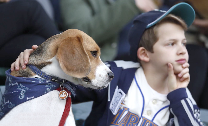 2022 Seattle Mariners Bark At The Park